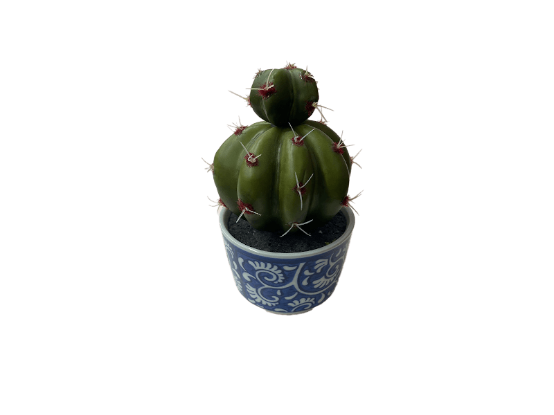 Maceta Cactus Talavera