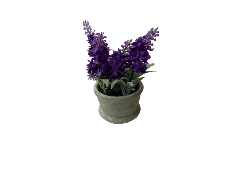 Maceta Lavanda Morada